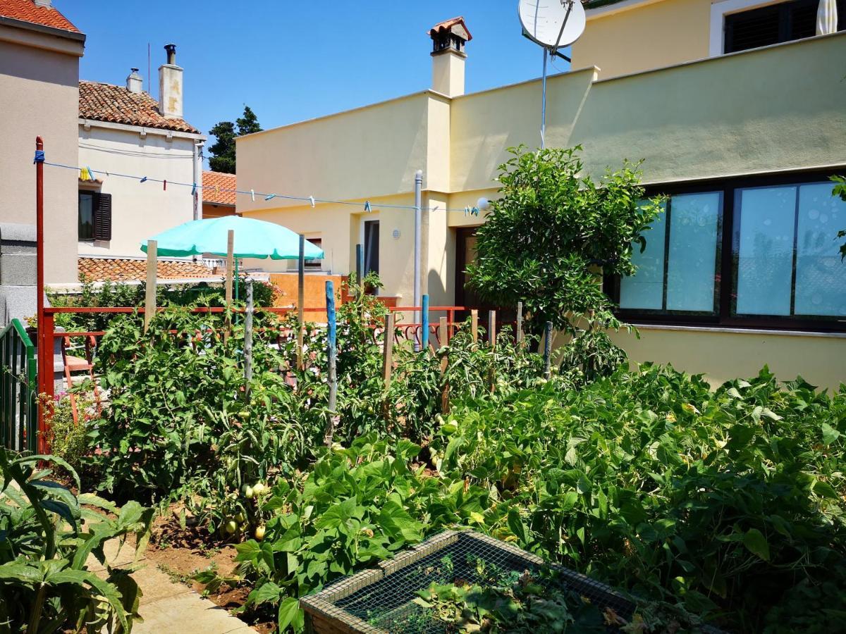 Apartment Zelina Mali Lošinj Zewnętrze zdjęcie